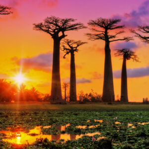 Madagascar: mini Tour del Nord