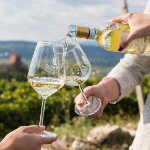 LA CITTÀ PALLADIANA DI VICENZA, LE VIGNE E IL BUON VINO DI SOAVE