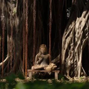 Aura Wellness Resorts: Chiva-Som