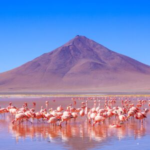 Tra il cielo e la terra: La Bolivia delle alte vette
